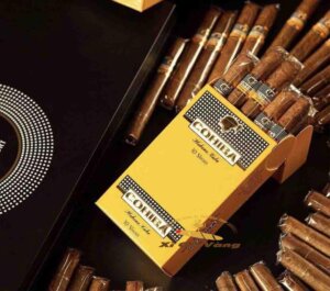 xi-ga-cohiba-short-10 So sánh dòng Short